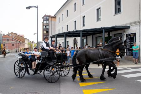 Fotografija - Foto atelje Postojna (11)